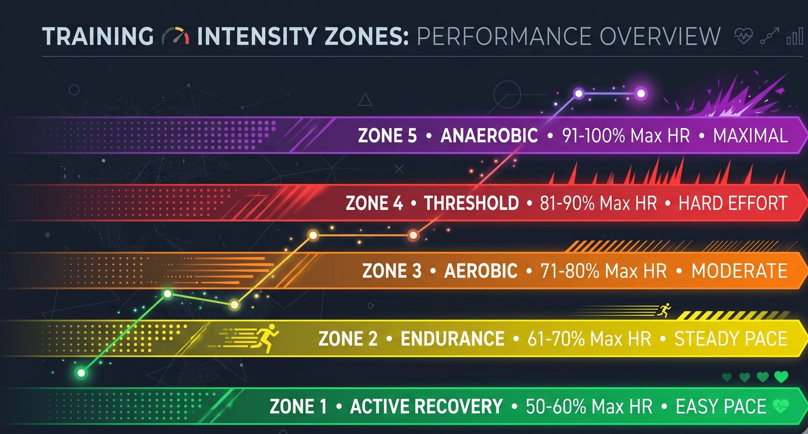 5 Indoor Rowing Training Zones Explained (UT2, UT1, AT, TR, AN)